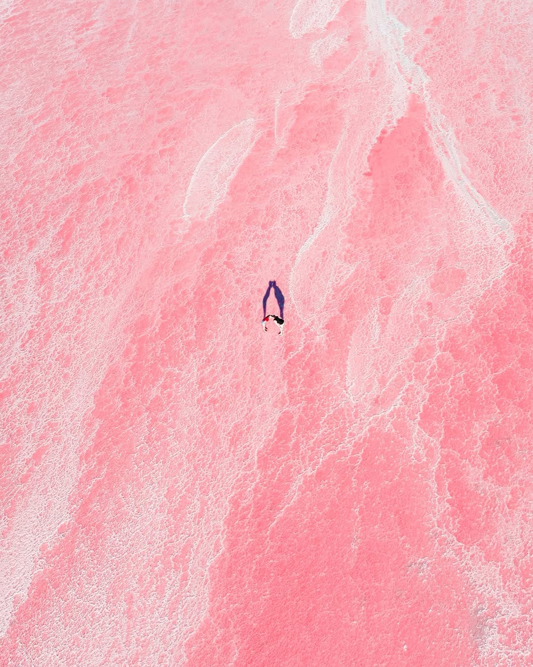 Post 1 by Mitchell Clarke - Perth on Instagram (image)