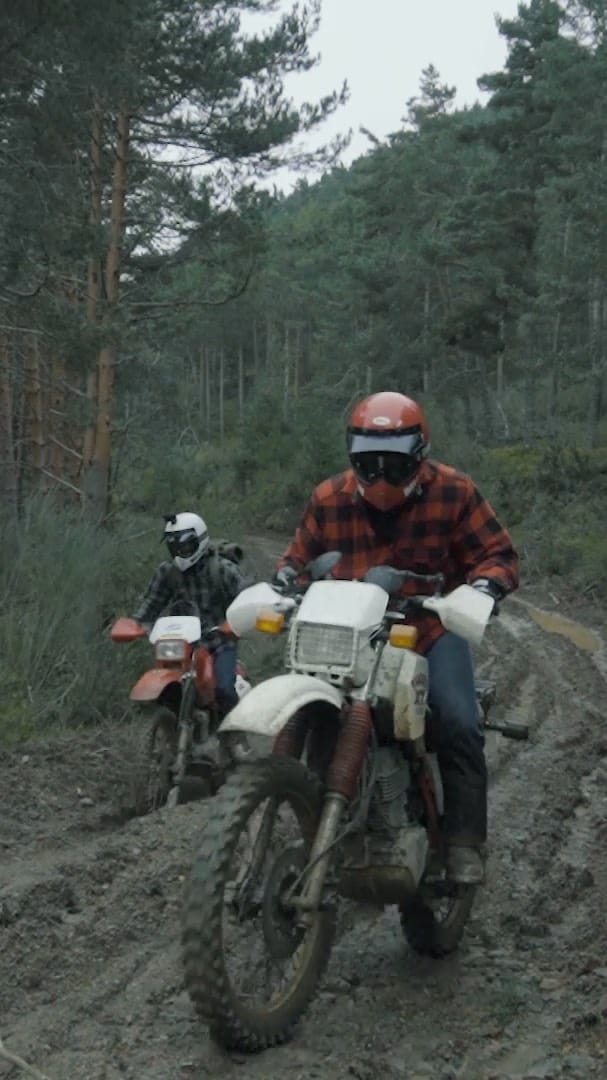 Post 10 by S E Ñ O R    D E E R   |  Scrambler & Vanlife on Instagram (video)
