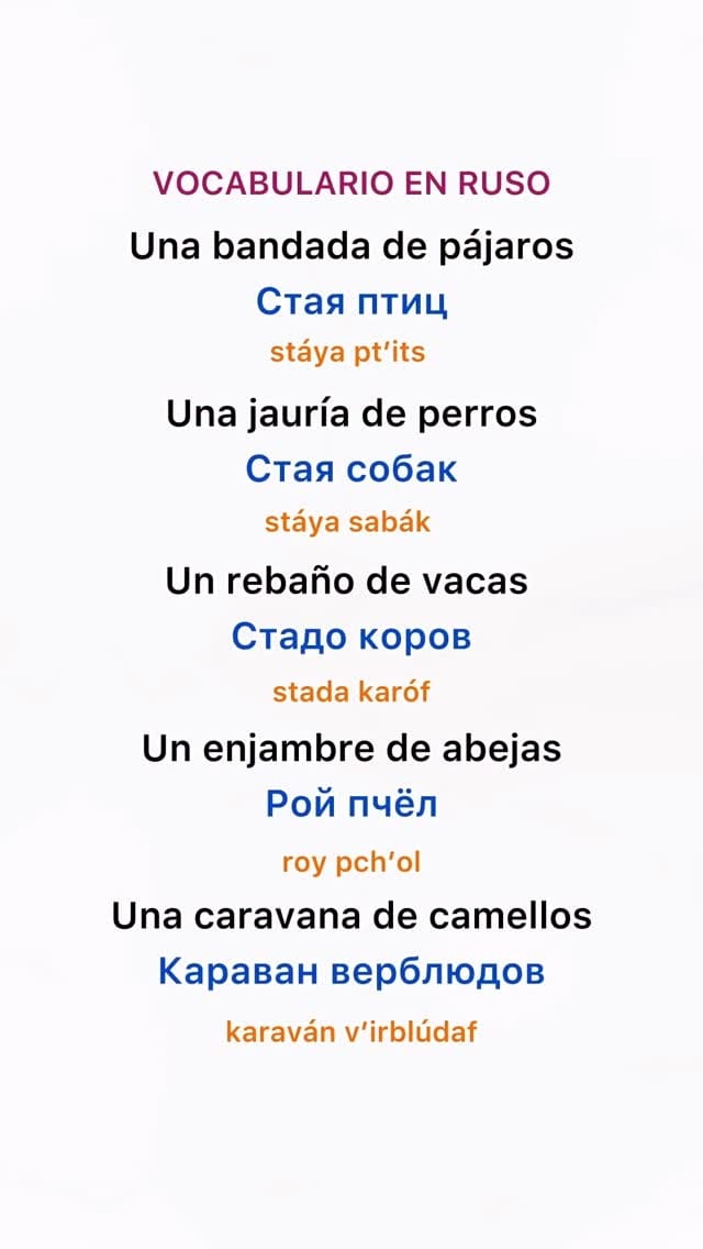 Post 6 by Aprende con Victoria | Aprender ruso fácil desde cero on Instagram (video)