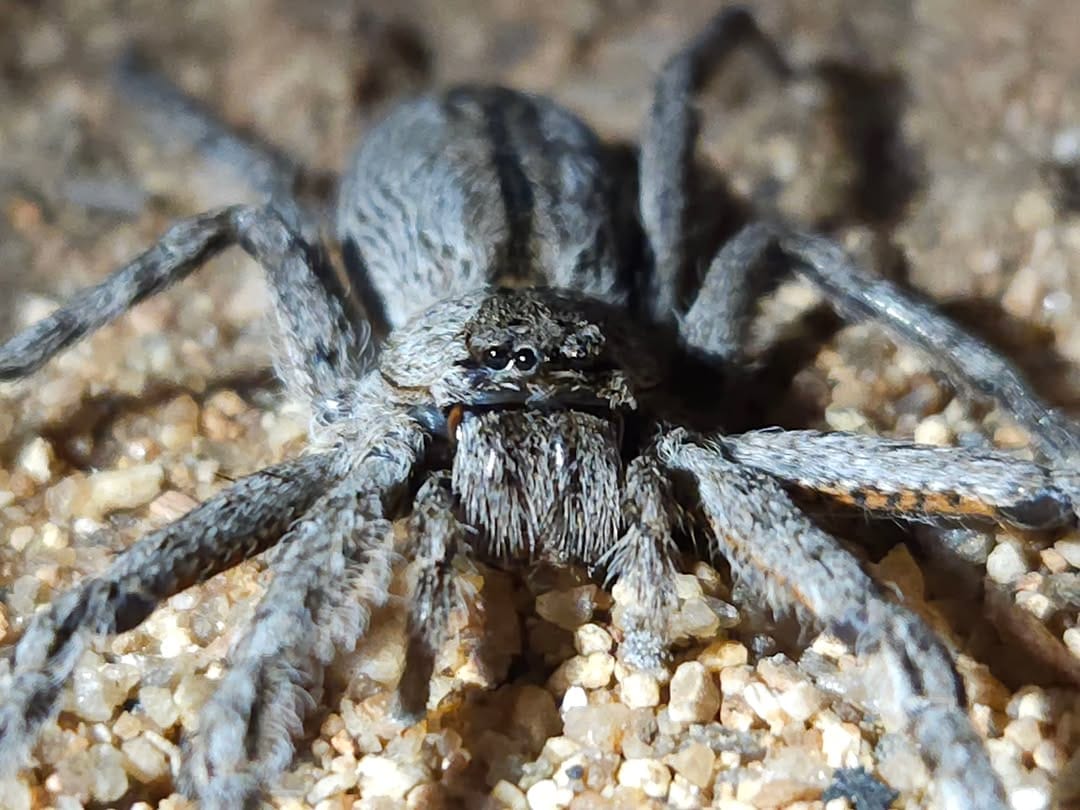 Post 2 by Malcolm Roberts Outdoor Guide on Instagram (carousel)