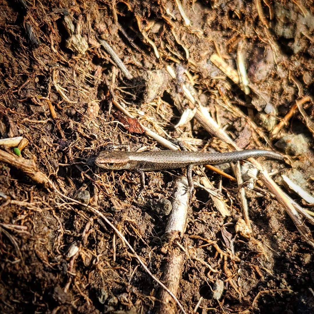 Post 9 by Malcolm Roberts Outdoor Guide on Instagram (image)