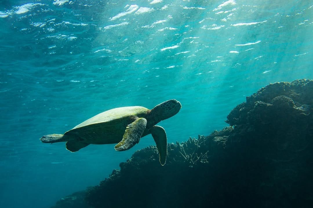 Post 3 by MAXWELL RUDD on Instagram (image)