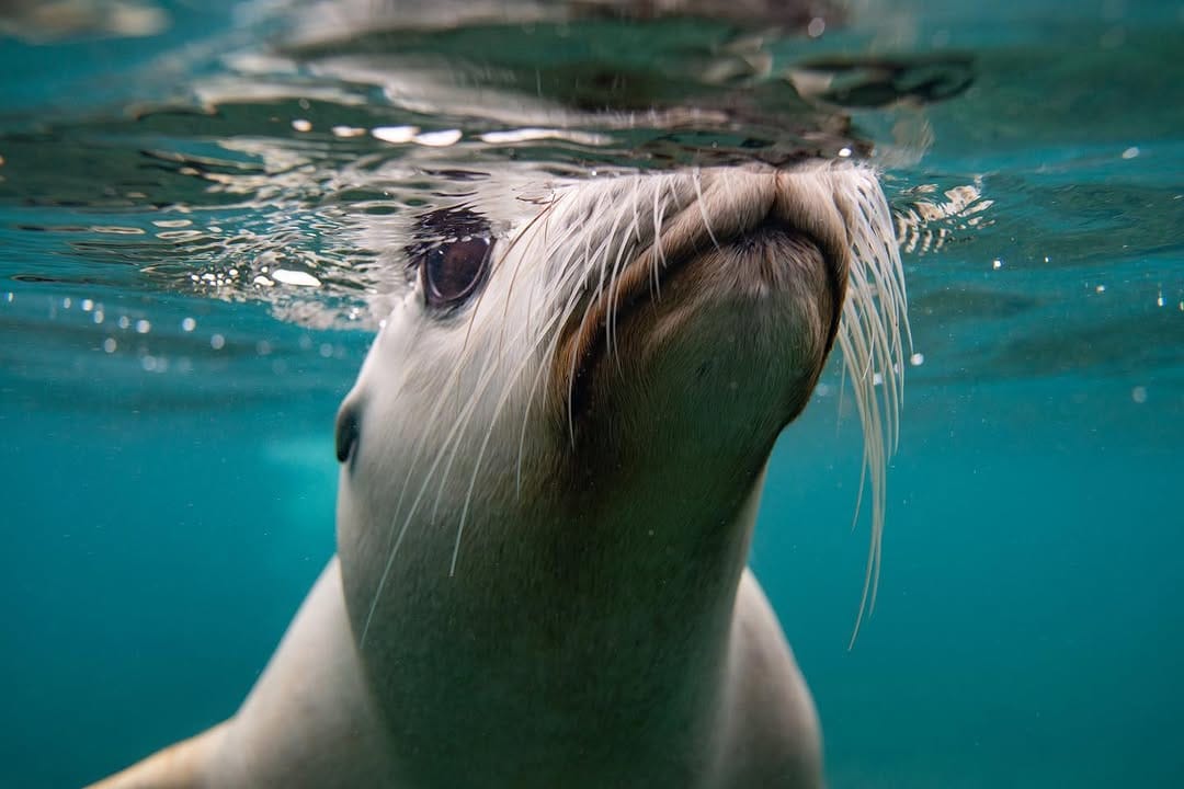 Post 7 by MAXWELL RUDD on Instagram (image)