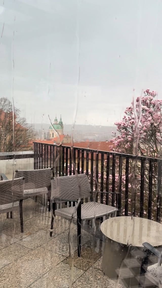 Post 1 by 𝑽𝒊𝒄𝒕𝒐𝒓𝒊𝒂🌿 on Instagram (video)