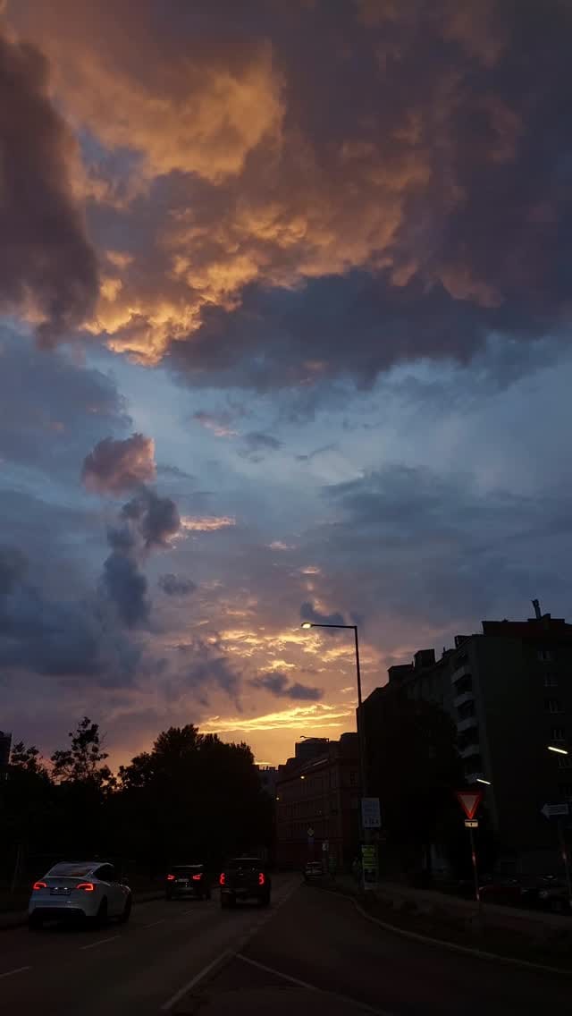 Post 4 by 𝑽𝒊𝒄𝒕𝒐𝒓𝒊𝒂🌿 on Instagram (video)