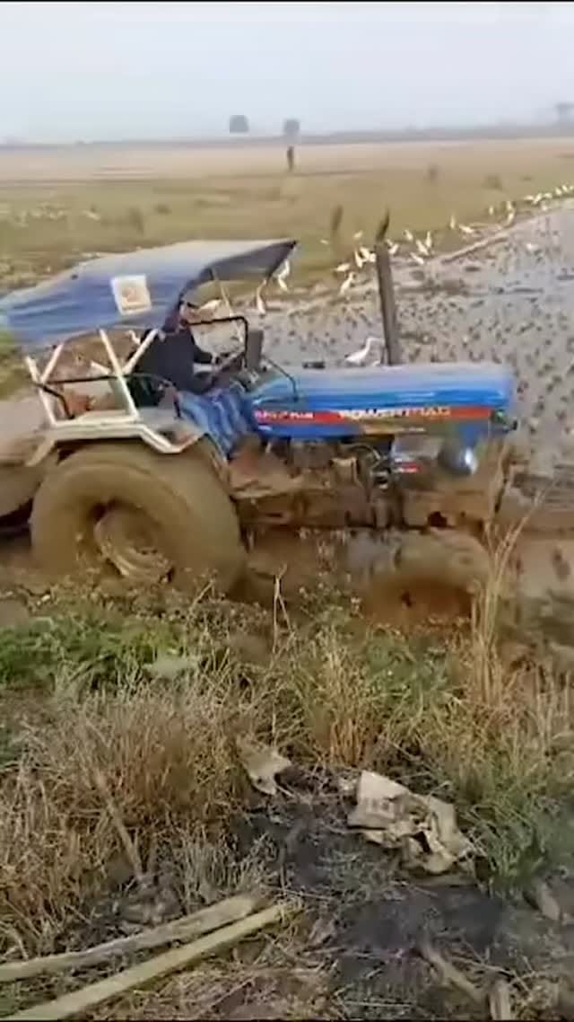 Post 5 by Mustakim Khan on Instagram (video)
