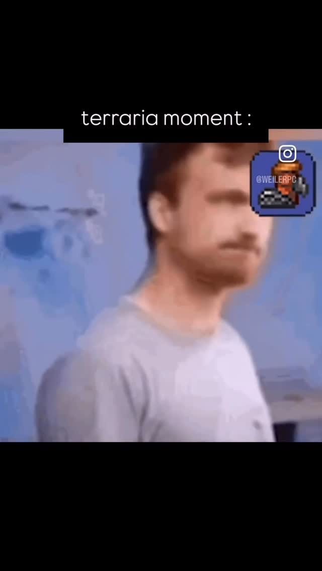 Post 1 by _terraria_memes_ on Instagram (video)