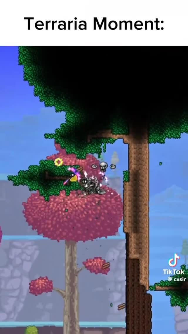 Post 2 by _terraria_memes_ on Instagram (video)