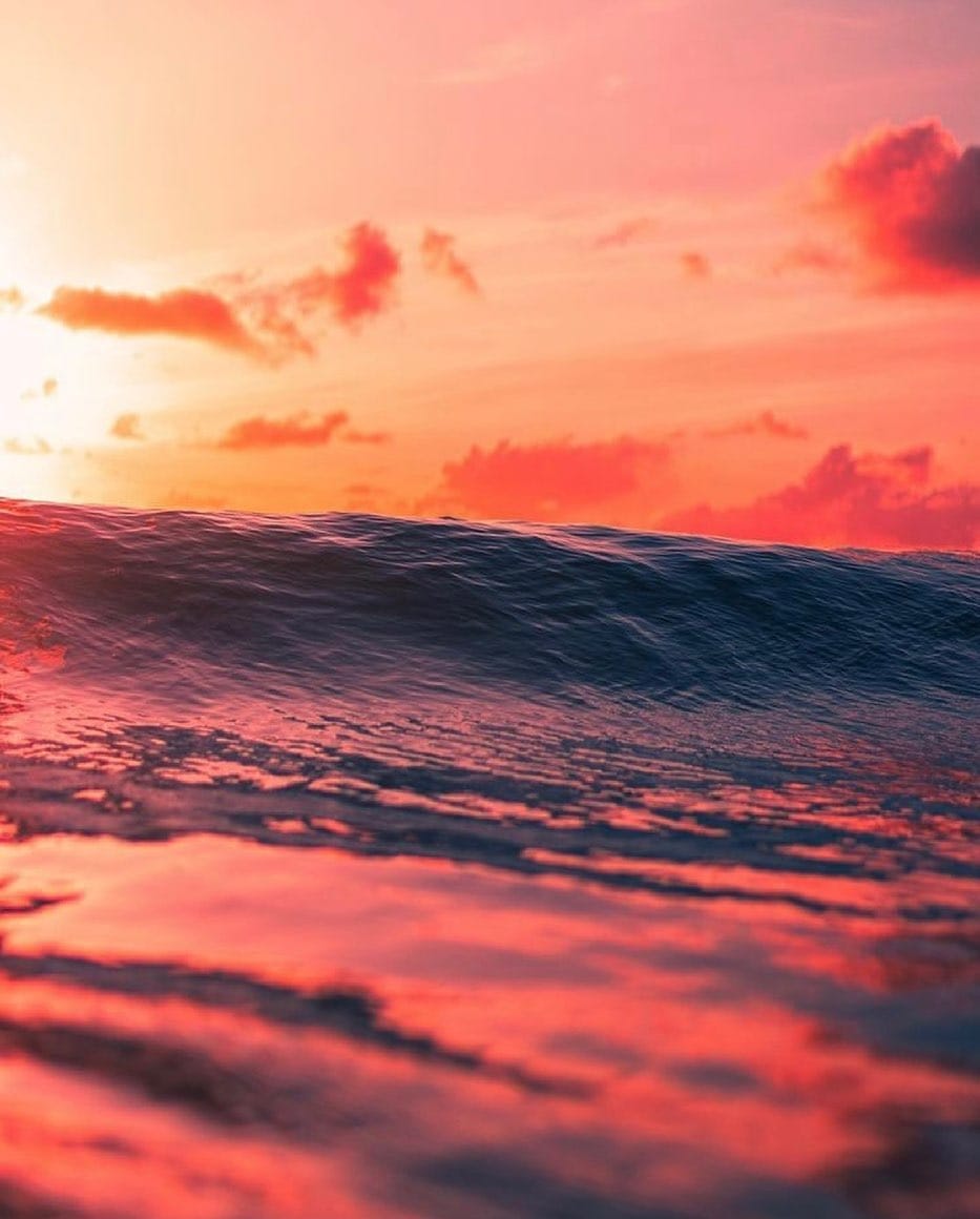 Post 9 by hawaii we go on Instagram (image)