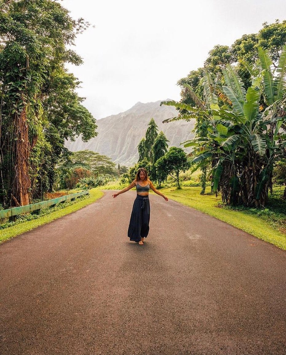 Post 10 by hawaii we go on Instagram (image)