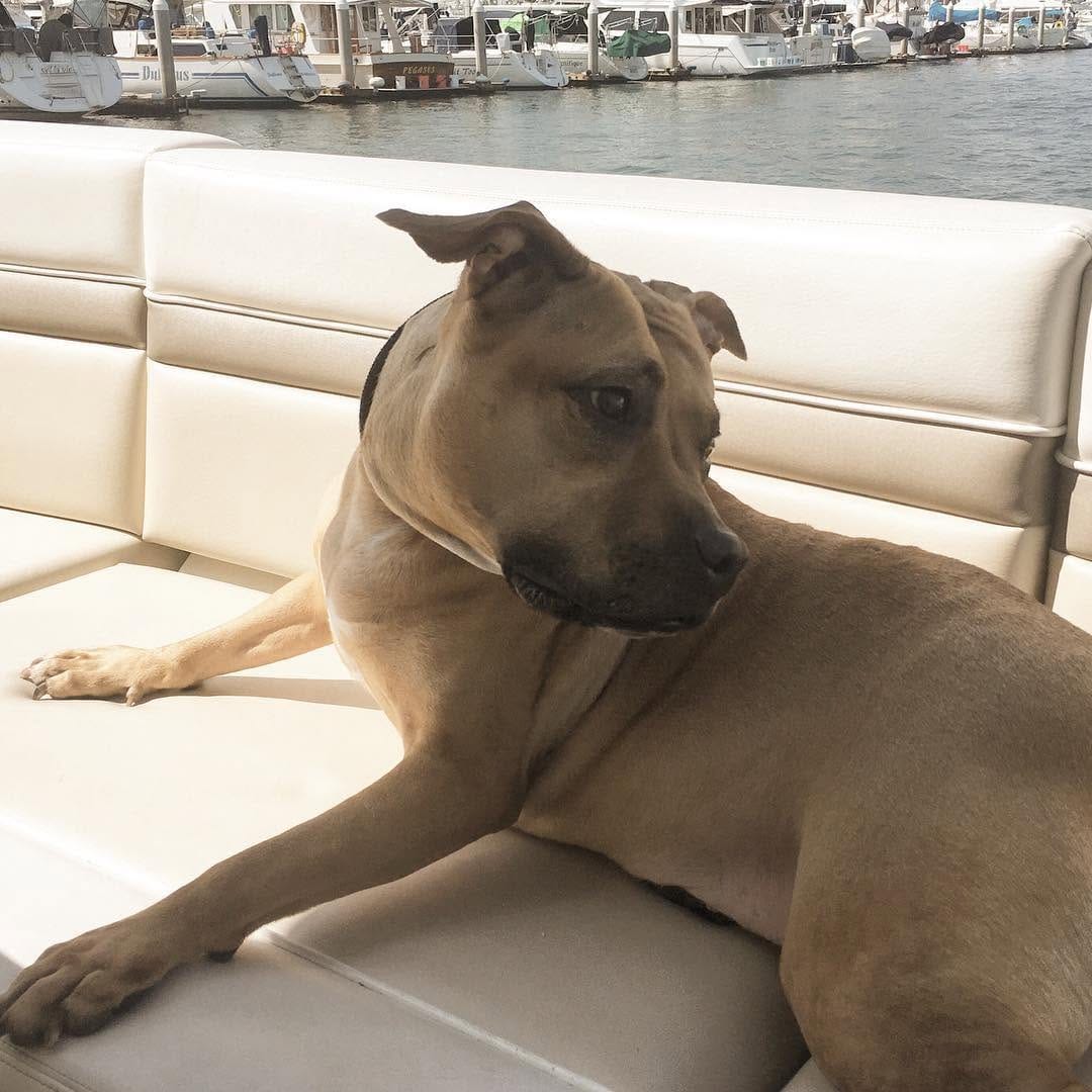 Post 5 by Travel • Lifestyle • Yachting on Instagram (image)