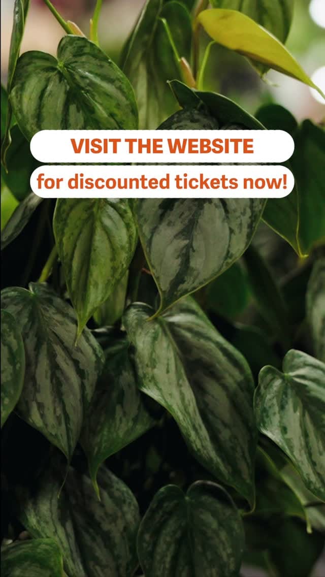 Post 9 by Rare Plant Festival on Instagram (video)