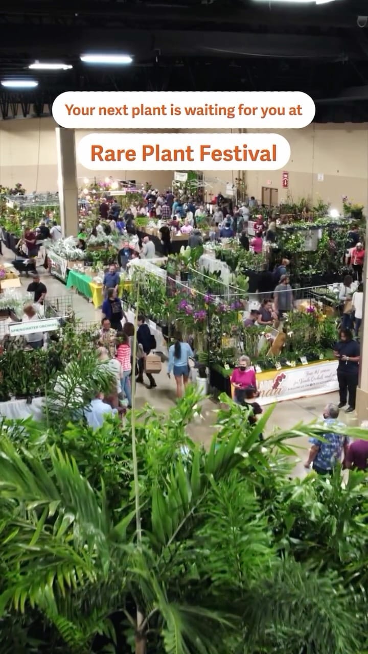 Post 10 by Rare Plant Festival on Instagram (video)