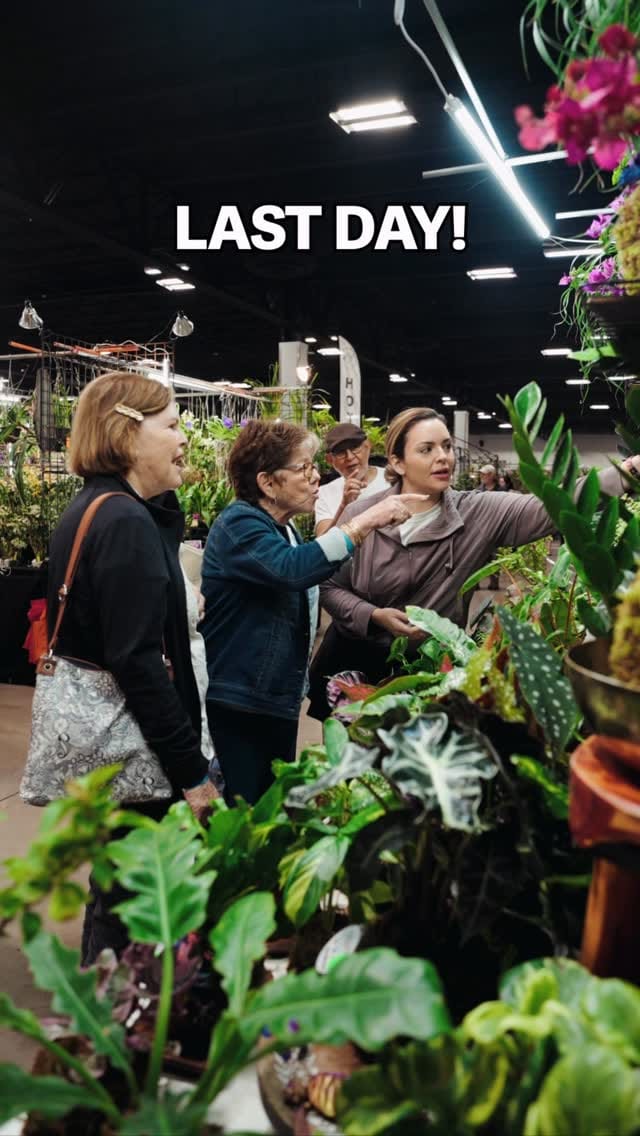 Post 8 by Rare Plant Festival on Instagram (video)