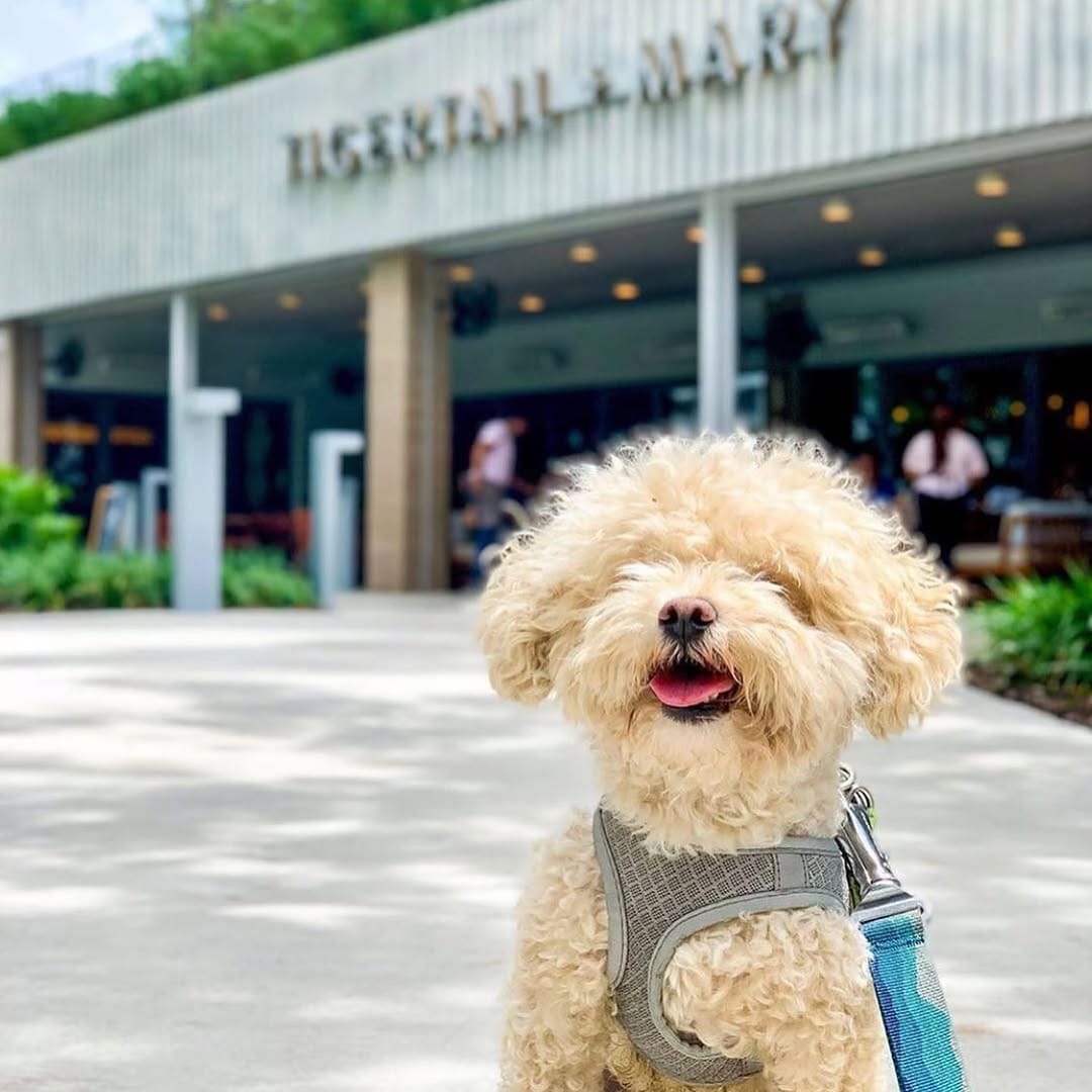 Post 8 by Miami Under 40 on Instagram (image)