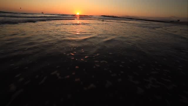 Post 2 by Venice California 🖖️🚴⁶𓅓 🌴🌅🏀😺 on Instagram (video)