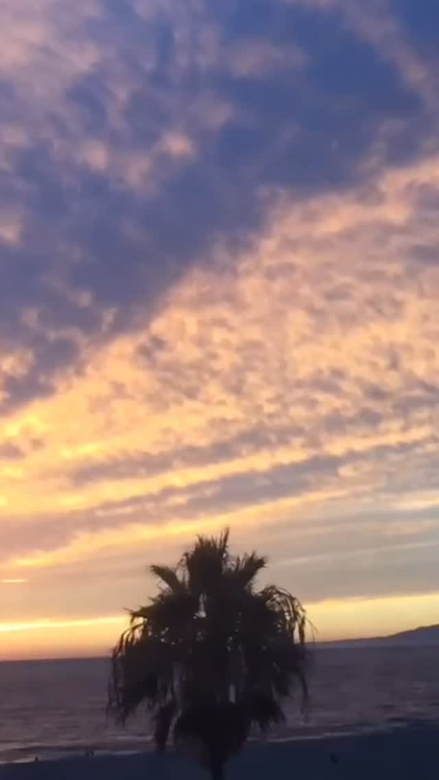 Post 1 by Venice California 🖖️🚴⁶𓅓 🌴🌅🏀😺 on Instagram (video)