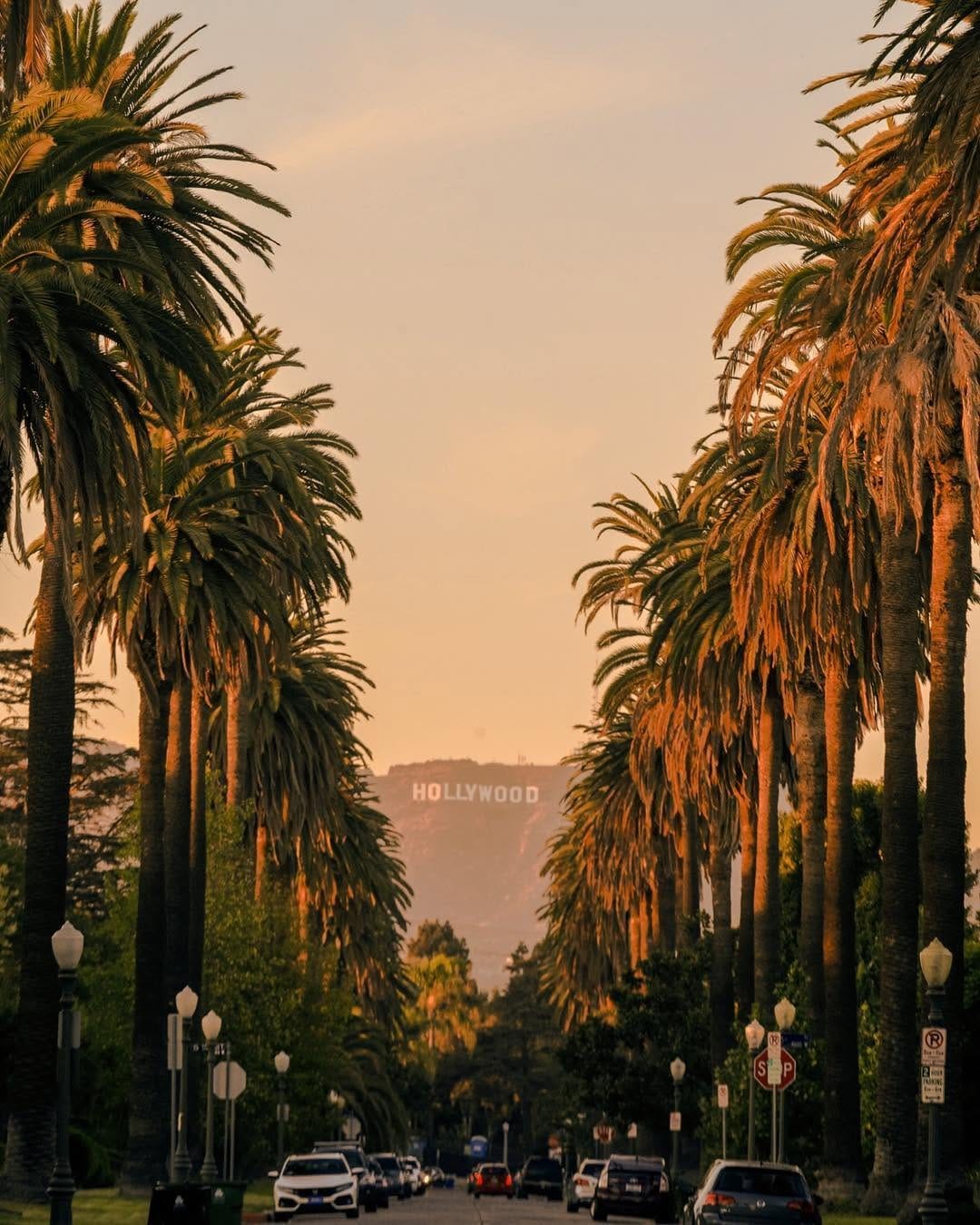 Post 10 by Venice California 🖖️🚴⁶𓅓 🌴🌅🏀😺 on Instagram (image)
