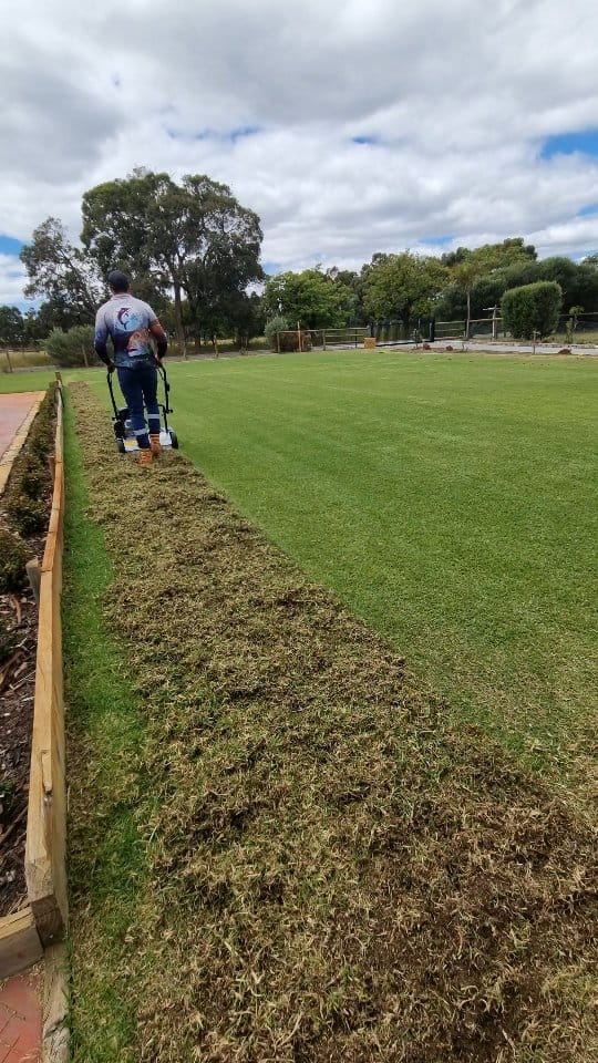Post 2 by The.Lawn.Tickler on Instagram (video)