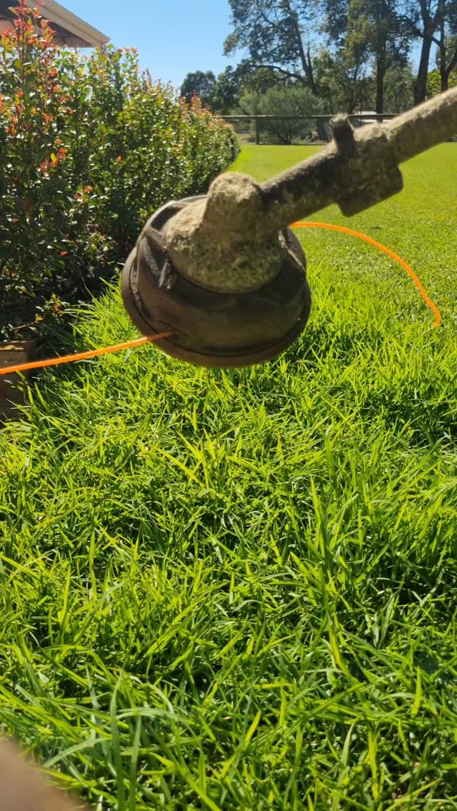 Post 1 by The.Lawn.Tickler on Instagram (video)