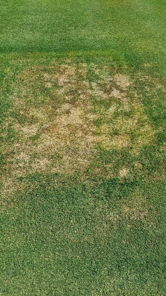 Post 10 by The.Lawn.Tickler on Instagram (video)