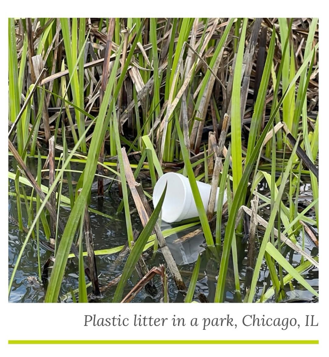 Post 5 by Friends Of The Chicago River on Instagram (image)