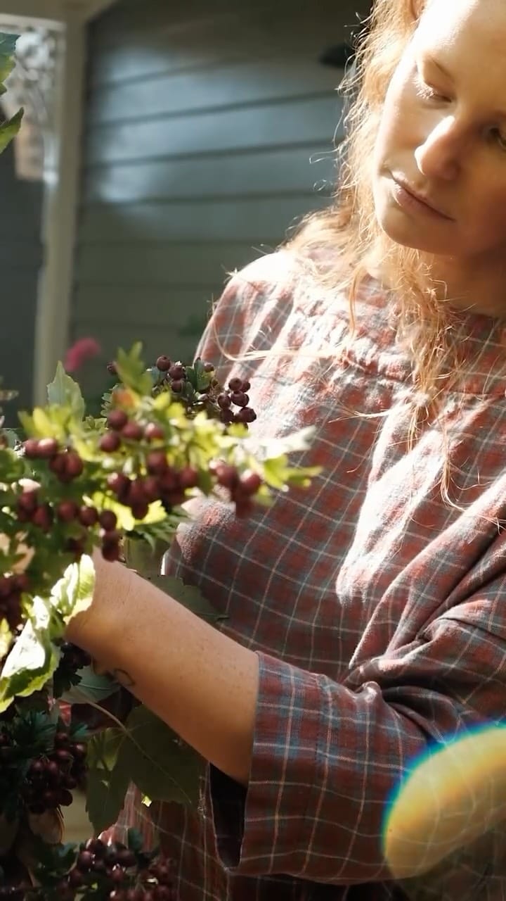 Post 7 by Lumière Lodge | A Destination for Voyagers on Instagram (video)