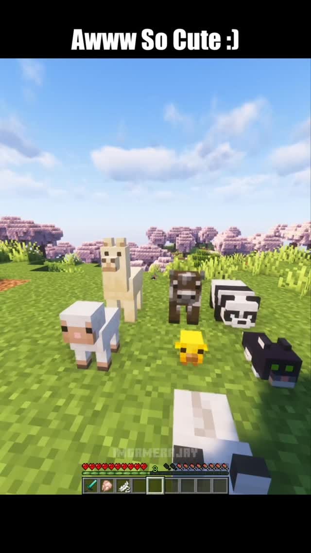 Post 7 by IMGAMERAJAY on Instagram (video)
