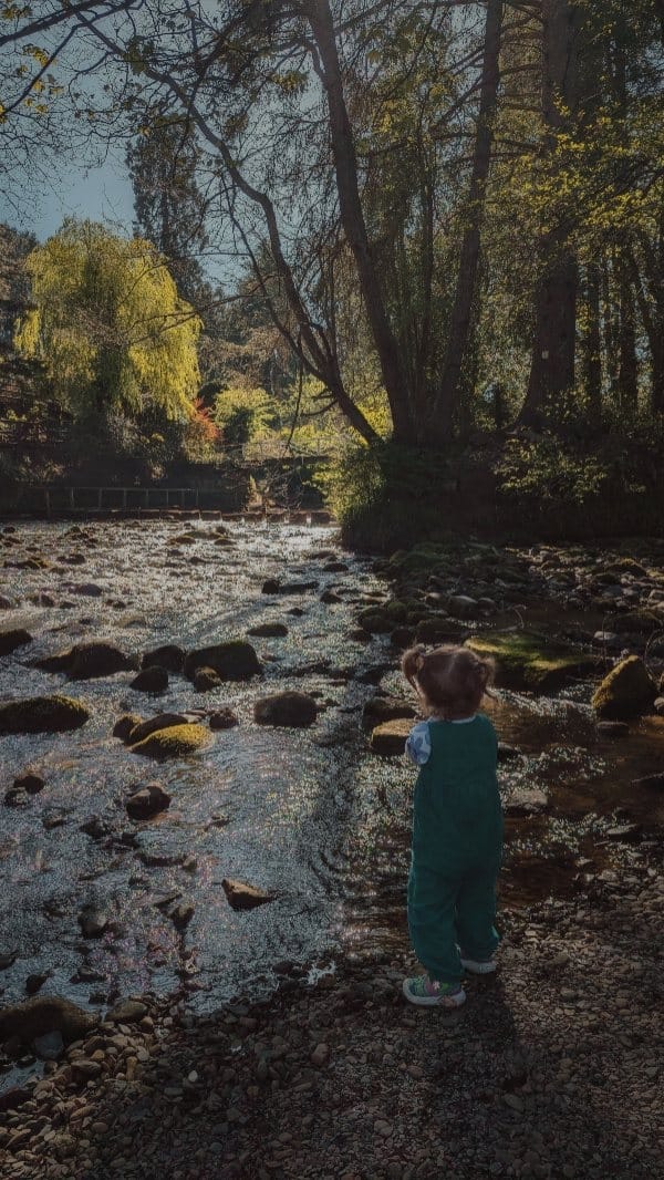 Post 6 by Natasha | Home Decor, Lifestyle & Motherhood on Instagram (video)
