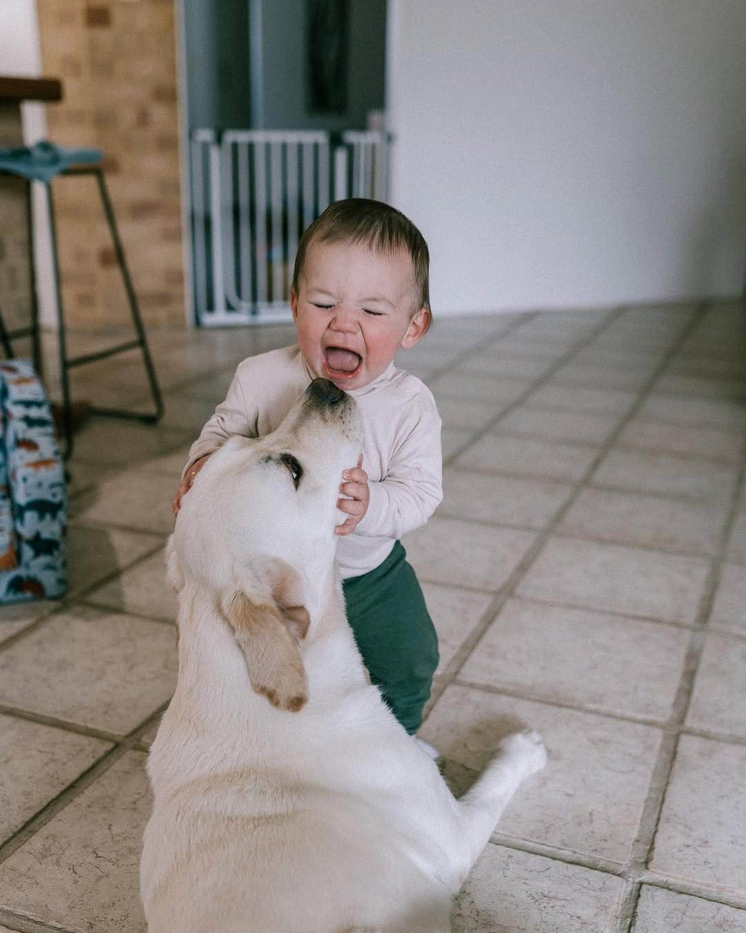 Post 3 by Utah & Walter on Instagram (carousel)