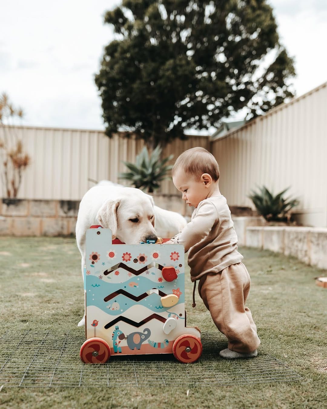 Post 6 by Utah & Walter on Instagram (image)
