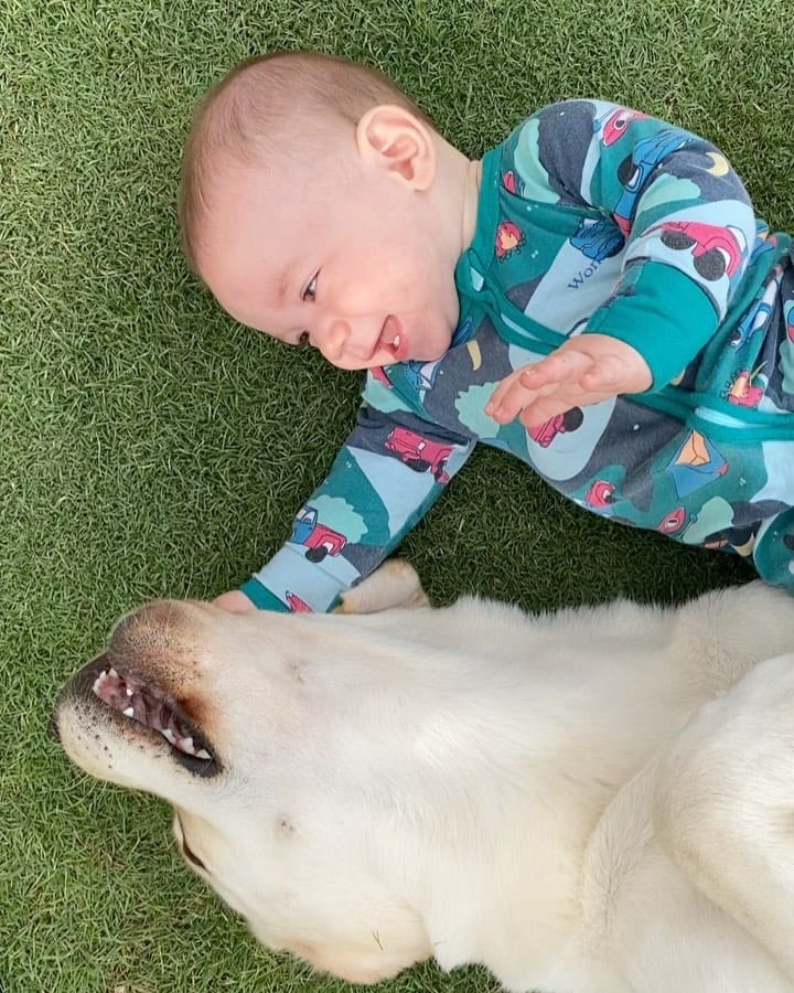 Post 5 by Utah & Walter on Instagram (video)