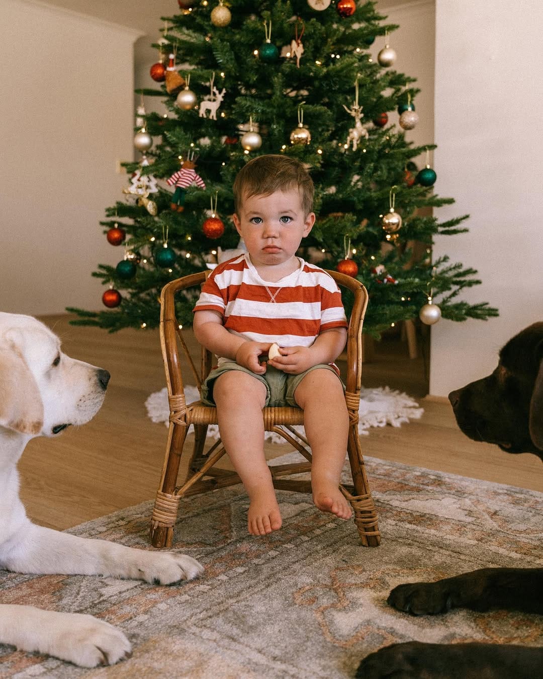 Post 1 by Utah & Walter on Instagram (carousel)