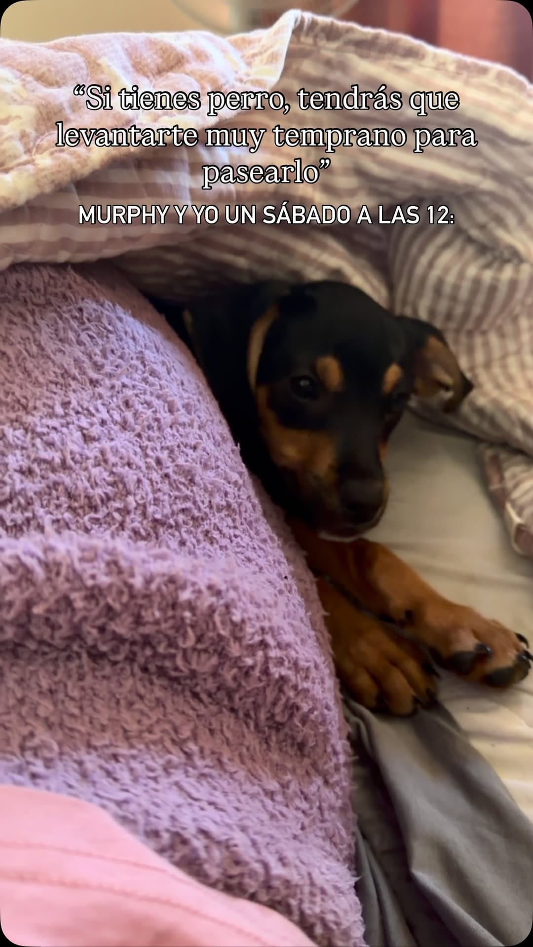 Post 1 by Victória Morais ✨ on Instagram (video)