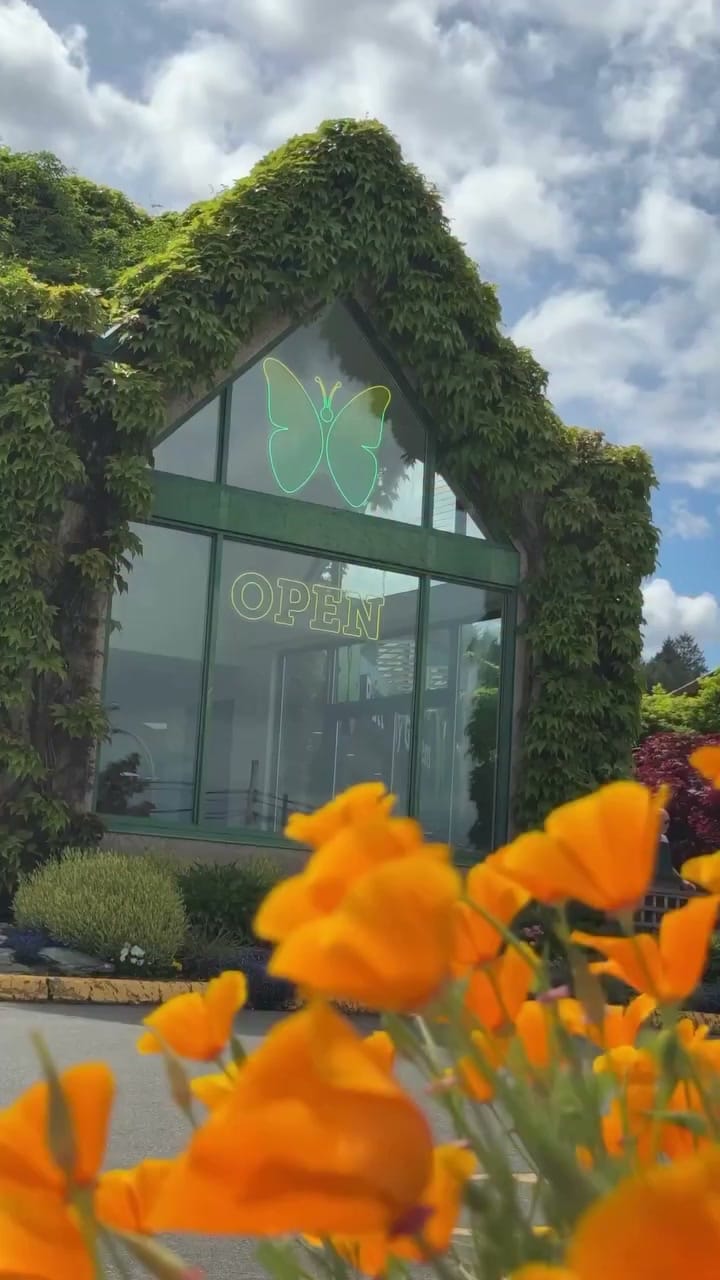 Post 1 by Destination Greater Victoria on Instagram (video)