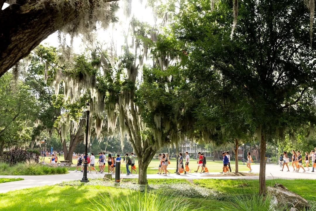 Post 9 by UF Admissions on Instagram (image)
