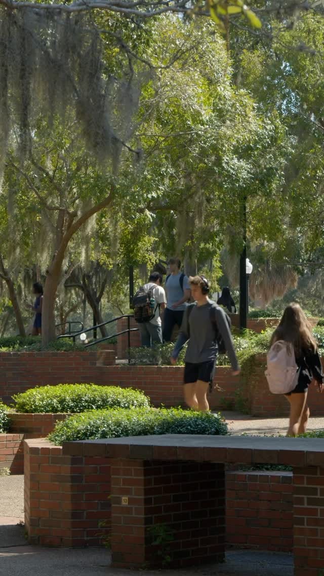 Post 8 by UF Admissions on Instagram (video)