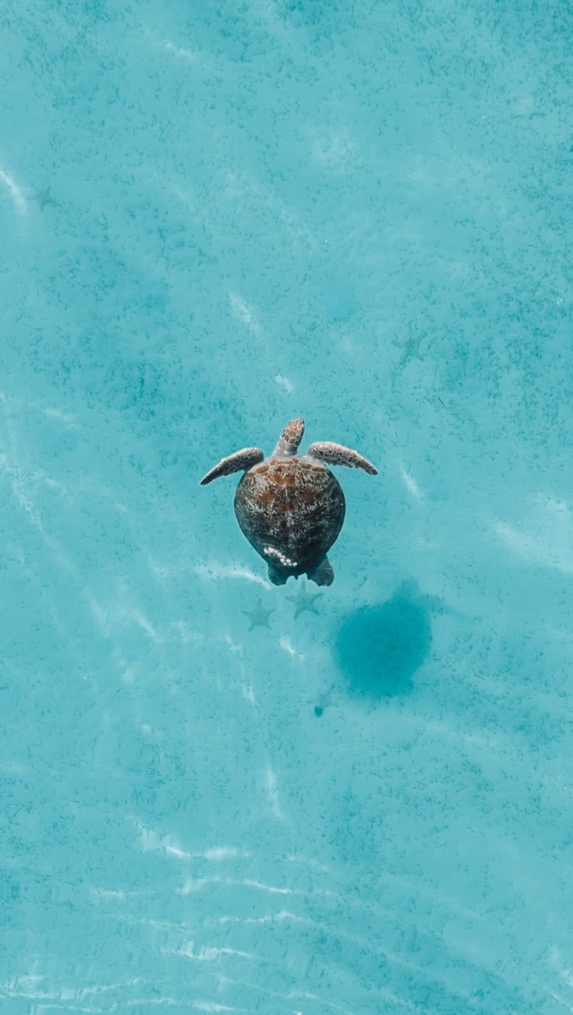 Post 8 by VERTICAL PIXEL on Instagram (video)