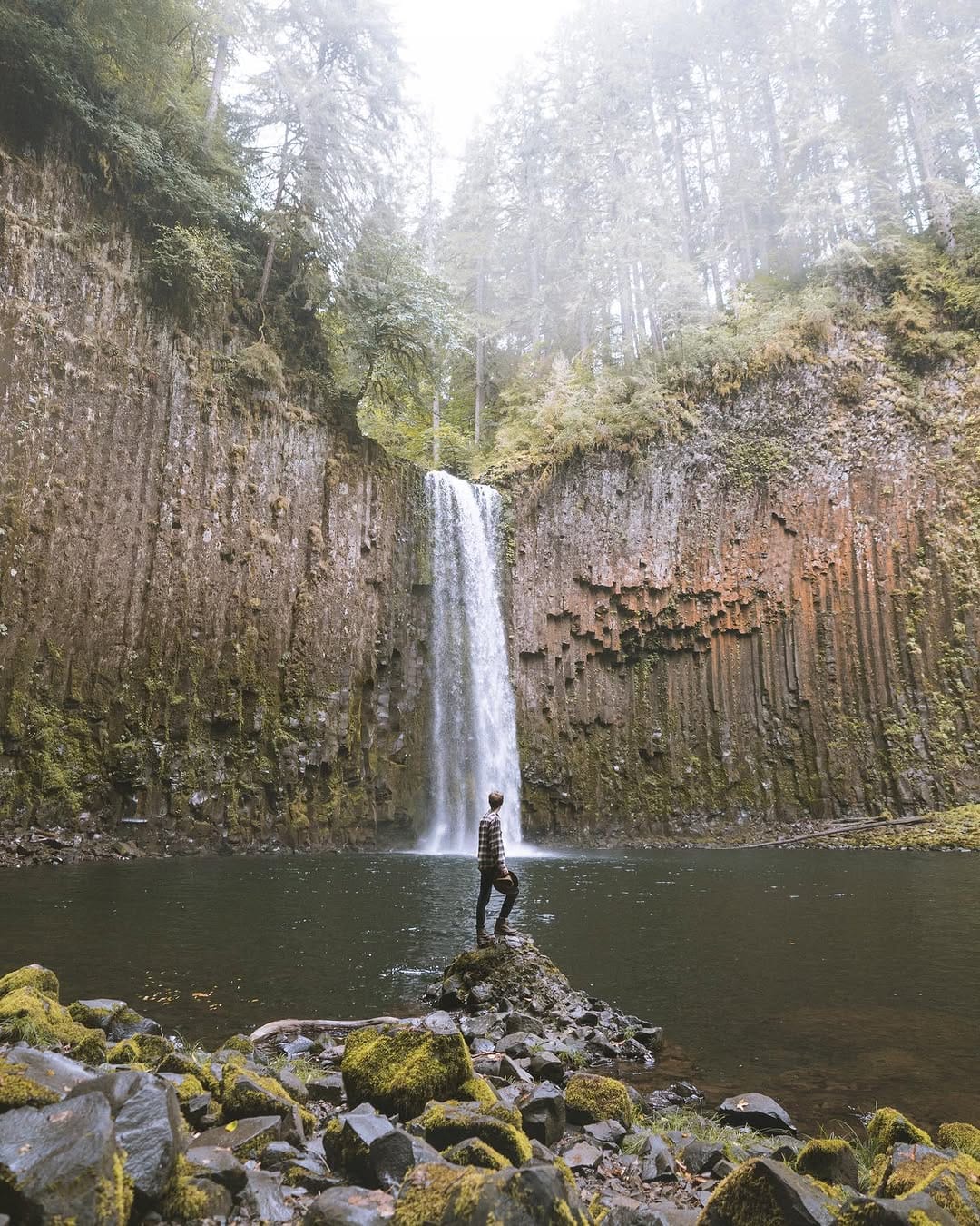 Post 7 by Ben Leo Davis on Instagram (image)