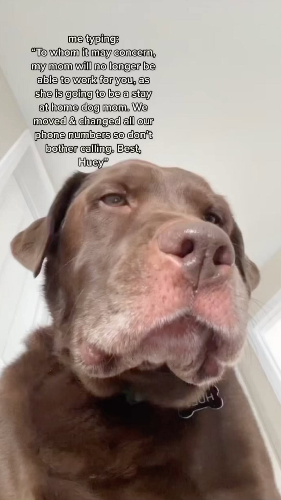 Post 6 by Lex on Instagram (video)