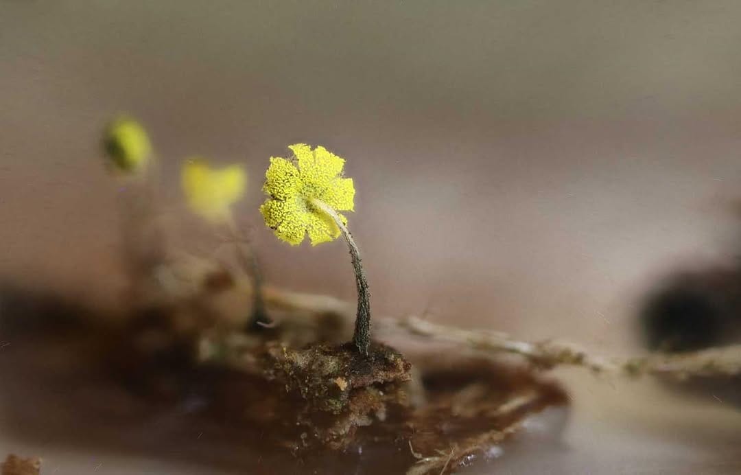 Post 6 by Sarah Lloyd on Instagram (image)