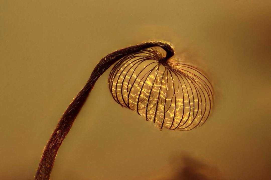 Post 10 by Sarah Lloyd on Instagram (image)