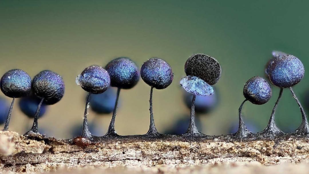 Post 5 by Sarah Lloyd on Instagram (image)