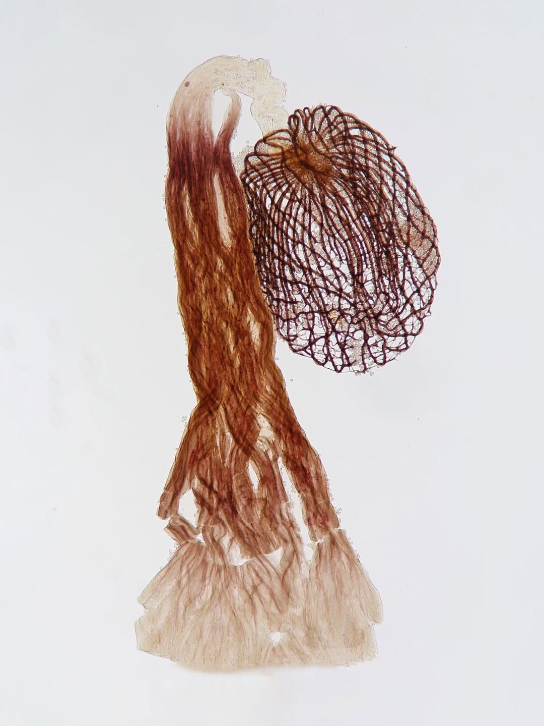 Post 3 by Sarah Lloyd on Instagram (image)