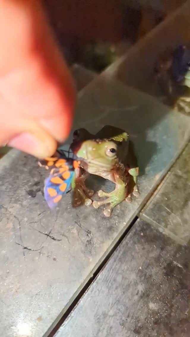 Post 7 by mladz on Instagram (video)