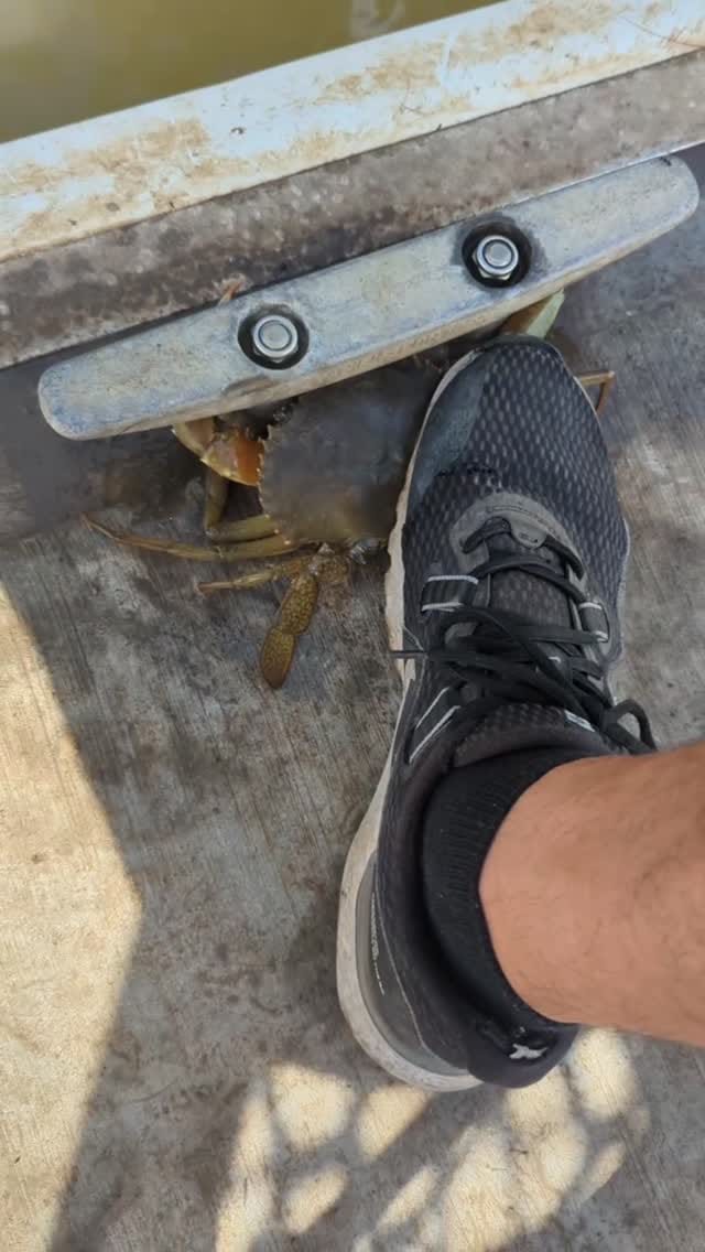 Post 4 by mladz on Instagram (video)