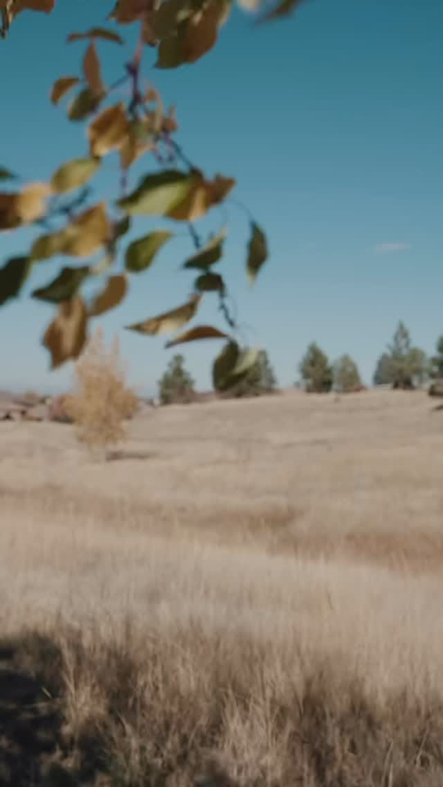 Post 8 by Gwenivere Snyder 💎 Colorado Real Estate Agent on Instagram (video)