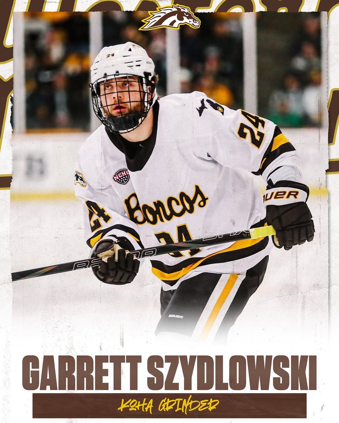 Post 6 by Western Michigan Hockey on Instagram (image)