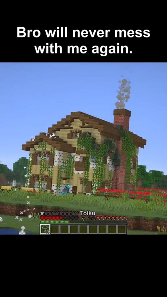 Post 1 by Minecraft Daily New idea💡 on Instagram (video)