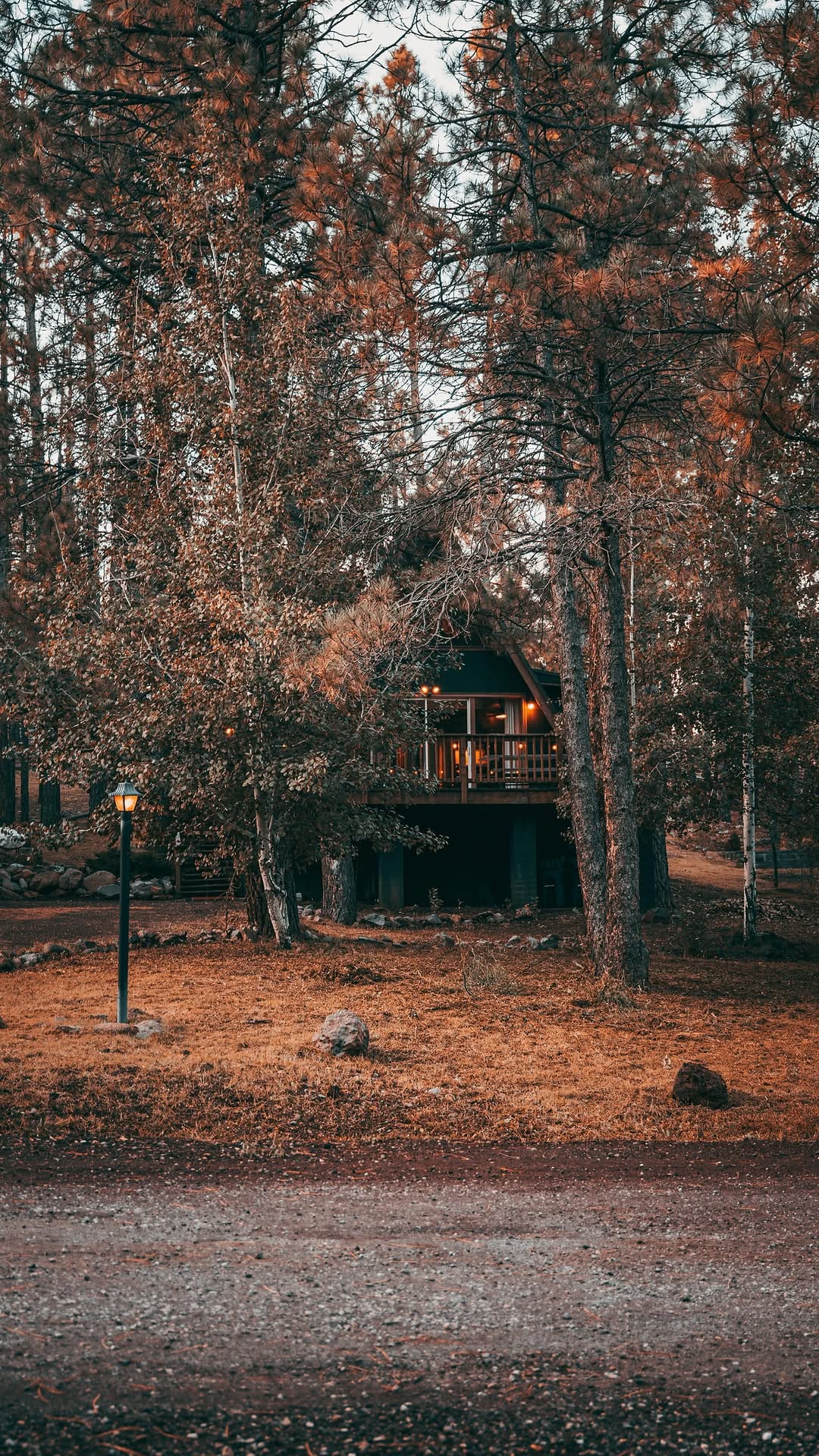 Post 10 by Munds Park, Arizona A Frame Cabin on Instagram (video)